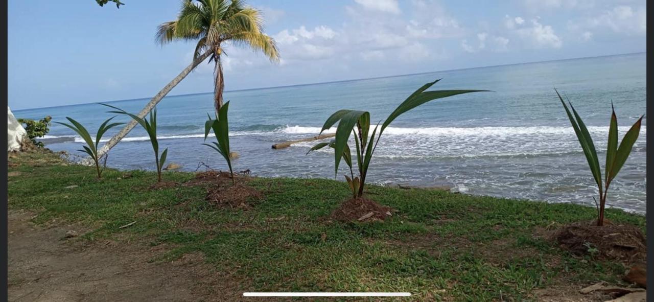 Casa Peace Haven Beach House Aguada Exterior photo